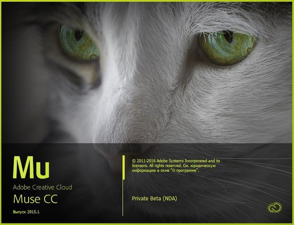 Adobe Muse 2015-1-0-2265 responsive (BETA обновляе_0.jpg